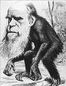Darwin - du học Úc giành cho những bạn muốn khám phá và trải nghiệm độc đáo