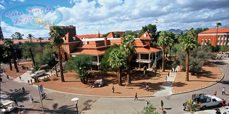 Du học Mỹ, chọn đại học Arizona, top 100 trường ĐH hàng đầu thế giới. (2).jpg